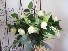 corporate display mixd blooms